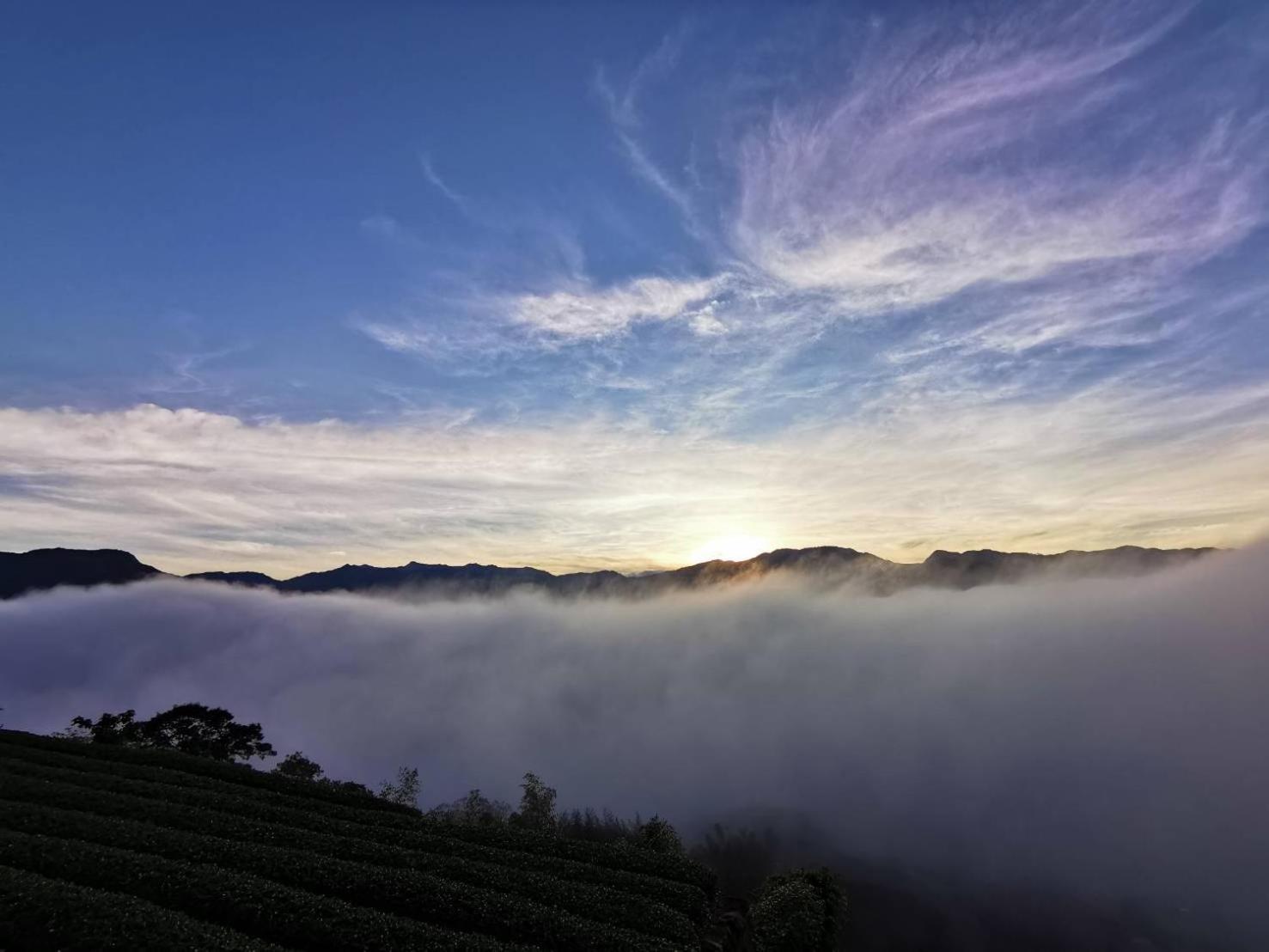 Alishan Tea Garden B&B Fenchihu Exteriör bild