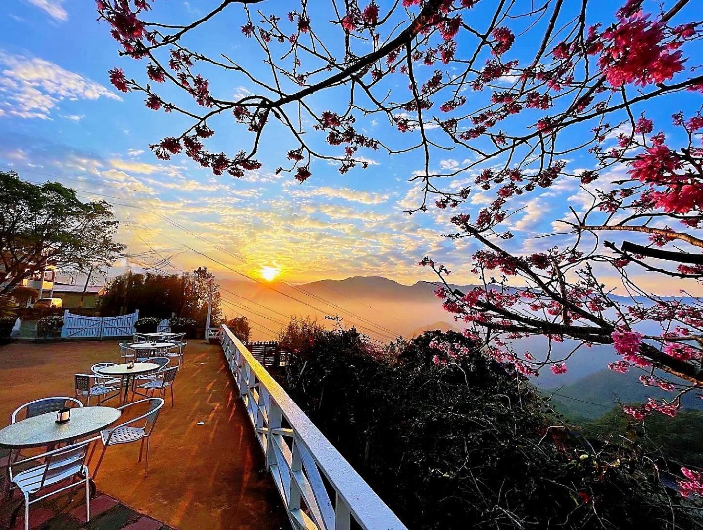 Alishan Tea Garden B&B Fenchihu Exteriör bild